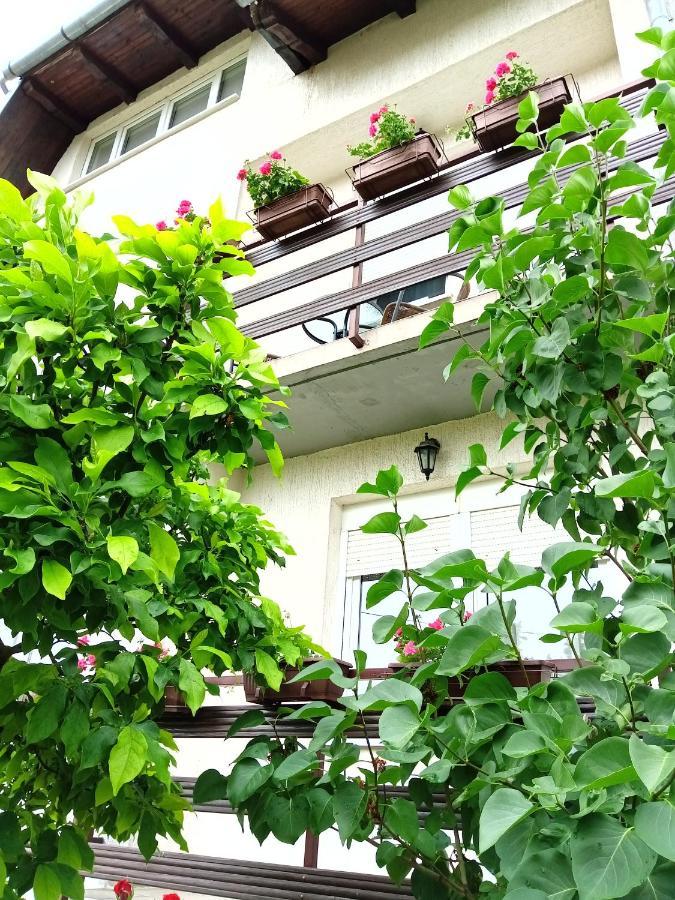Apartman Kod Dide I Bake Vukovar Ngoại thất bức ảnh